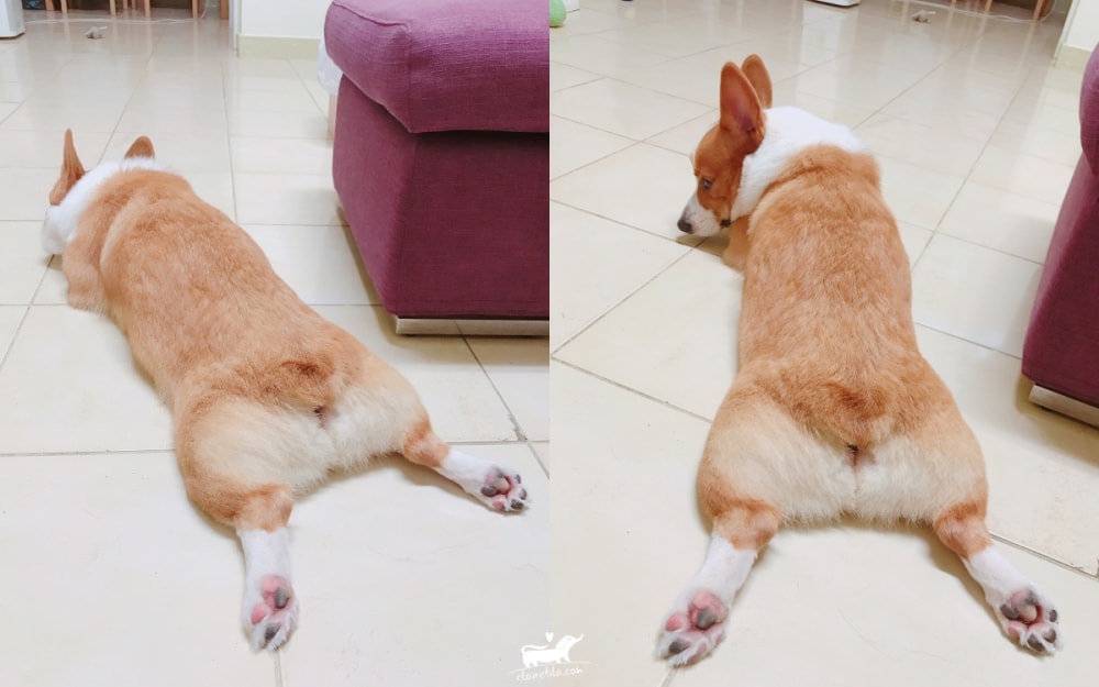 20251024-zfxmp 20251024-zfxmp