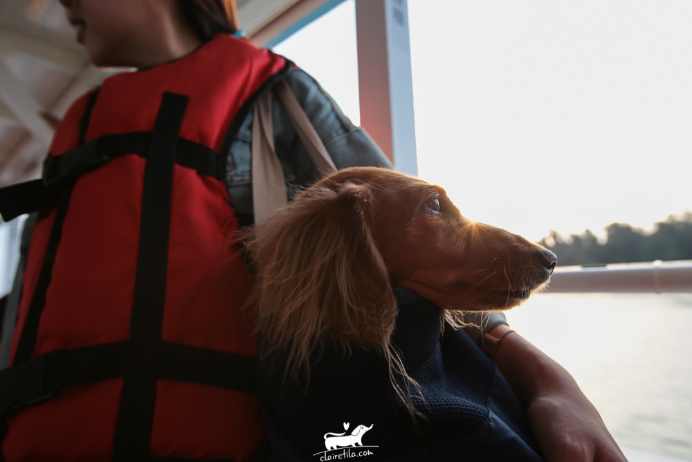 20251024-2kepg 20251024-2kepg