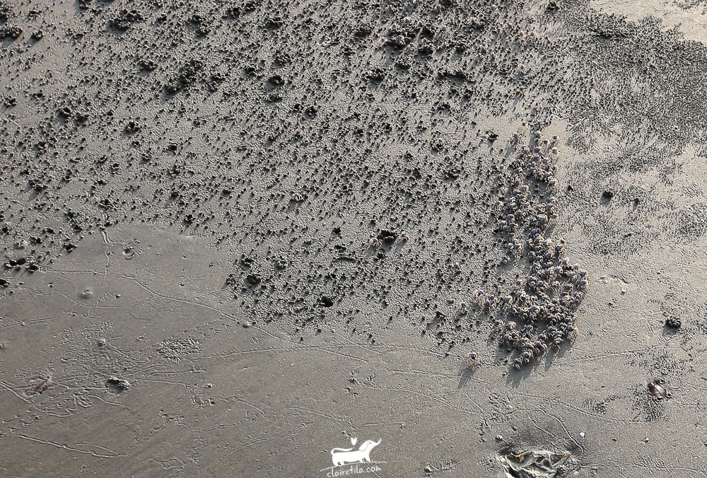 20251024-7rqzc 20251024-7rqzc