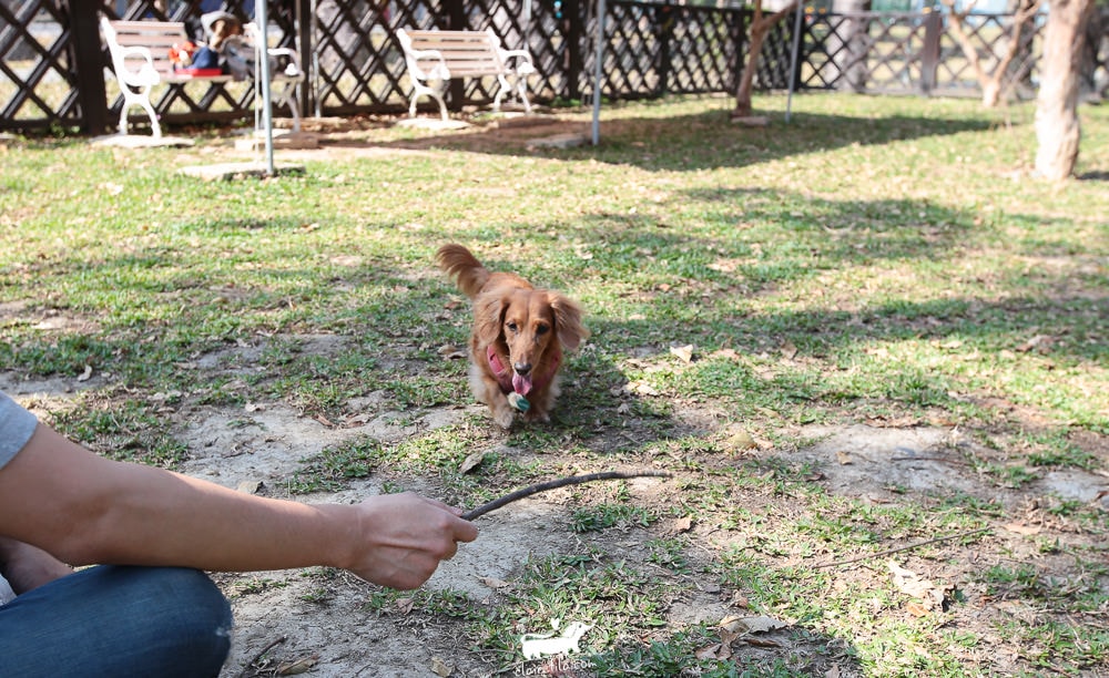 20251024-8ofbx 20251024-8ofbx