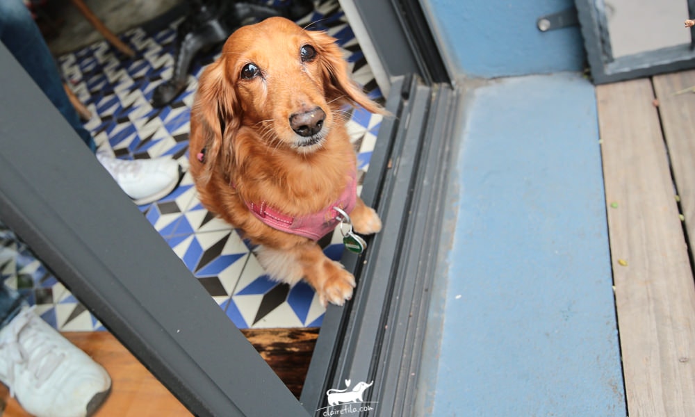 20251024-gt81k 20251024-gt81k