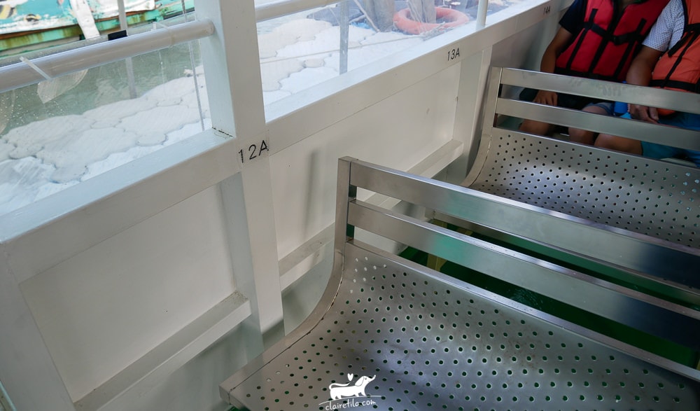 20251024-o9161 20251024-o9161