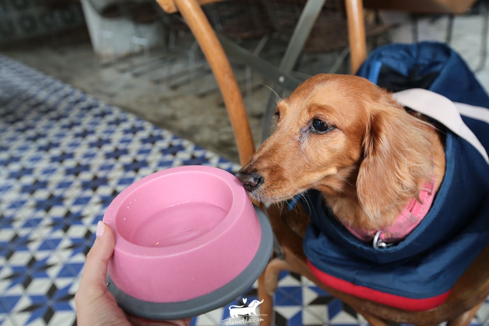 20251024-pekfs 20251024-pekfs