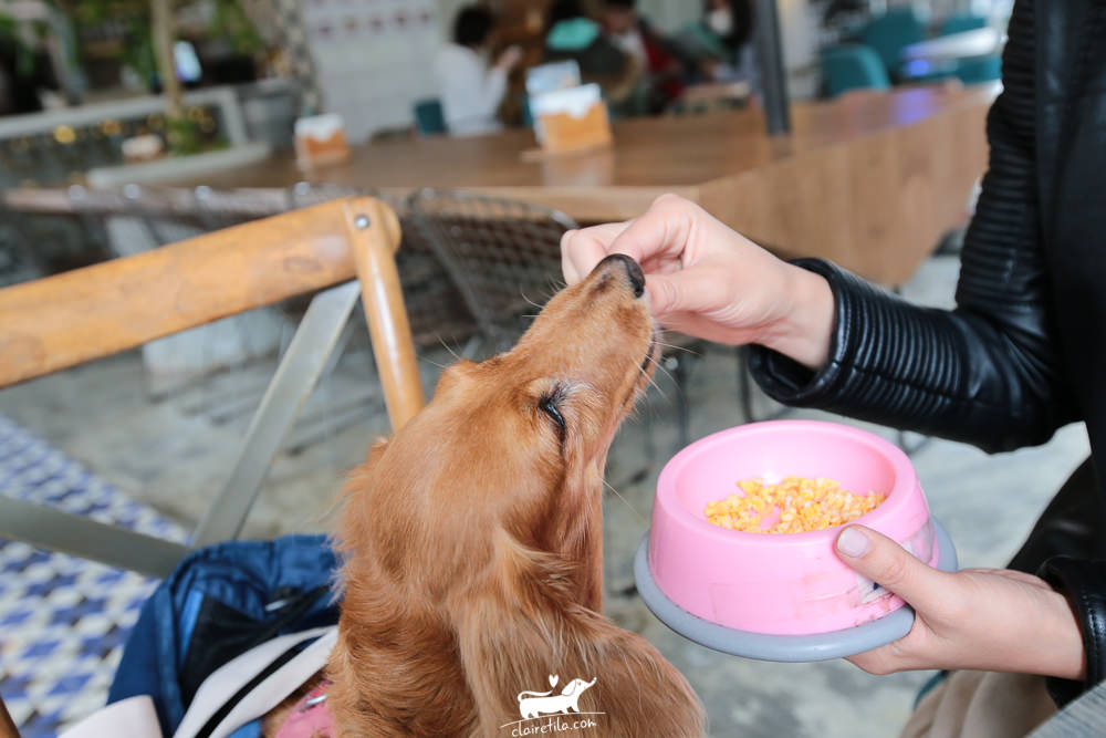 20251024-qme97 20251024-qme97