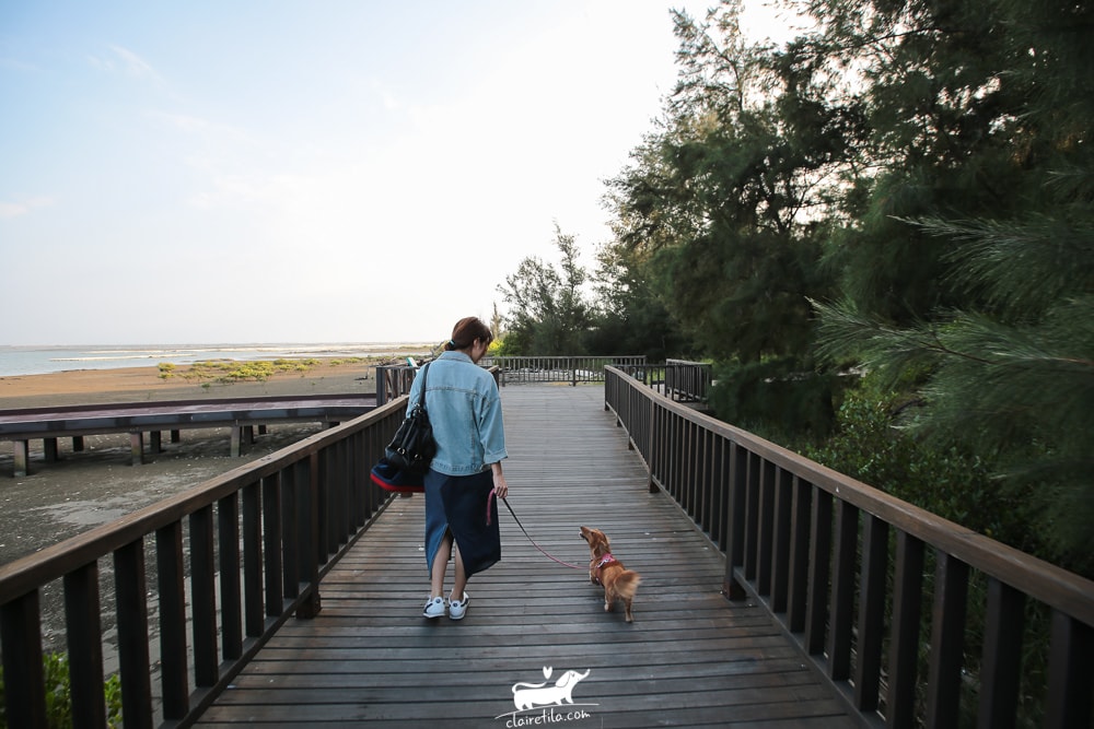 20251024-v7dc7 20251024-v7dc7