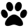 20251024-z6gnm