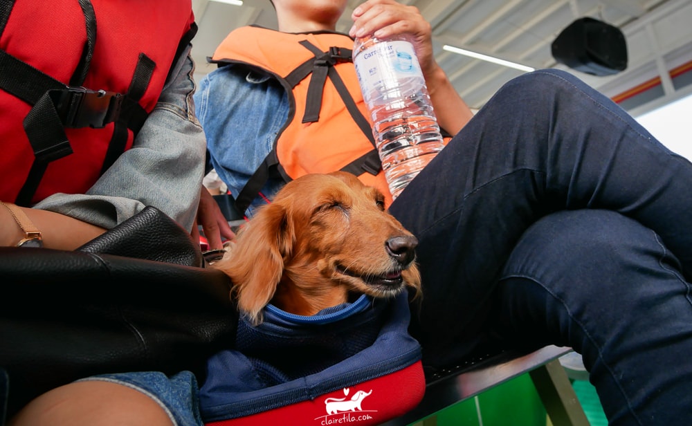 20251024-zcqp9 20251024-zcqp9