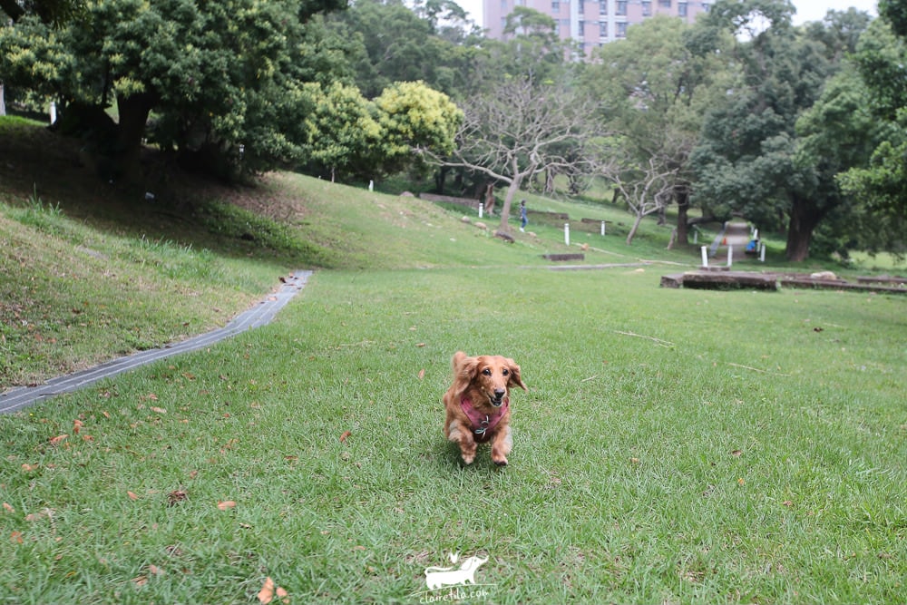 20251024-0i3hl 20251024-0i3hl