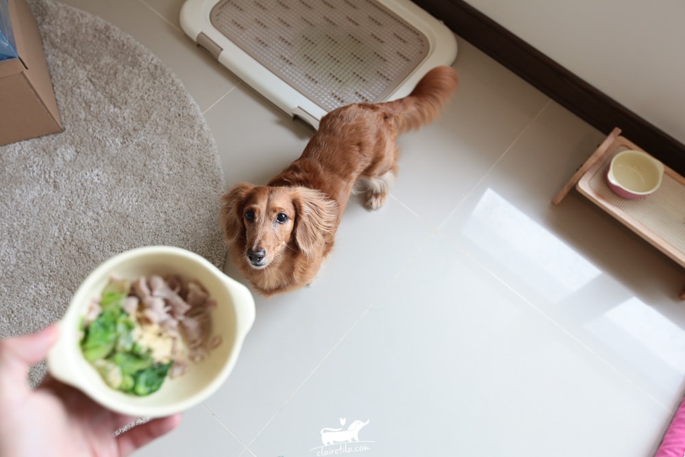 20251024-1fppj 20251024-1fppj