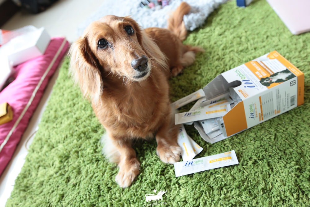 20251024-4kbuc 20251024-4kbuc