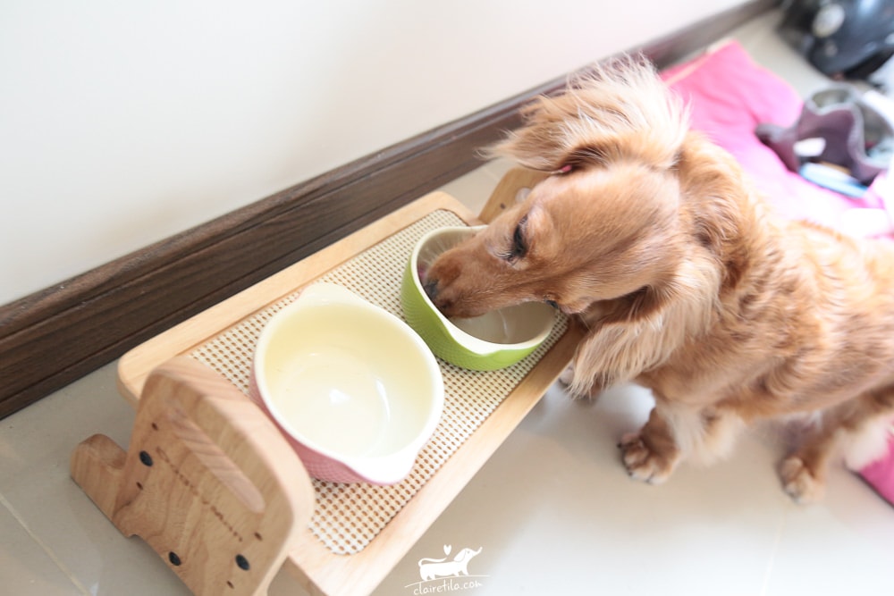 20251024-k3dk9 20251024-k3dk9