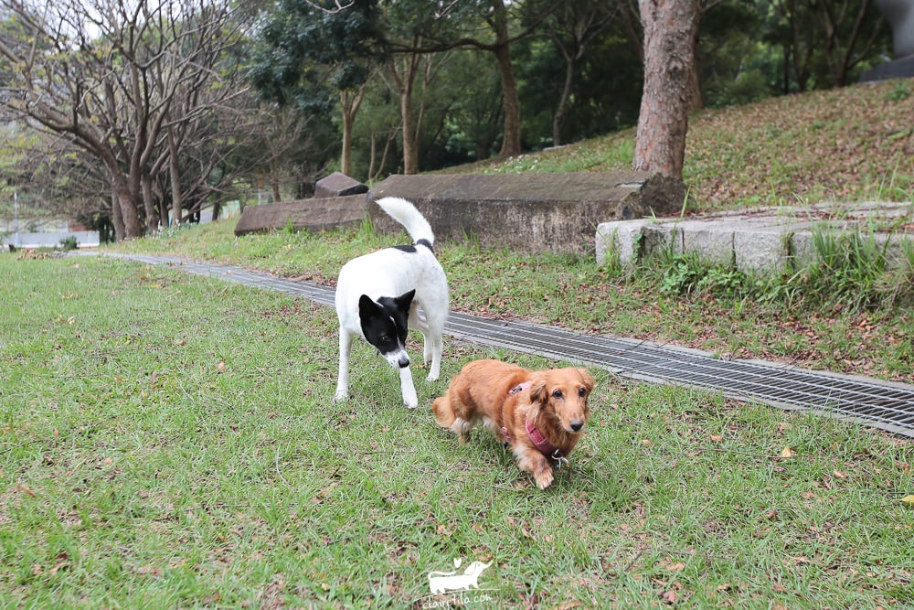 20251024-lxfnh 20251024-lxfnh