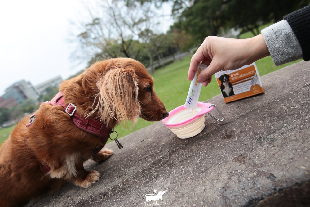 20251024-ps8lk 20251024-ps8lk