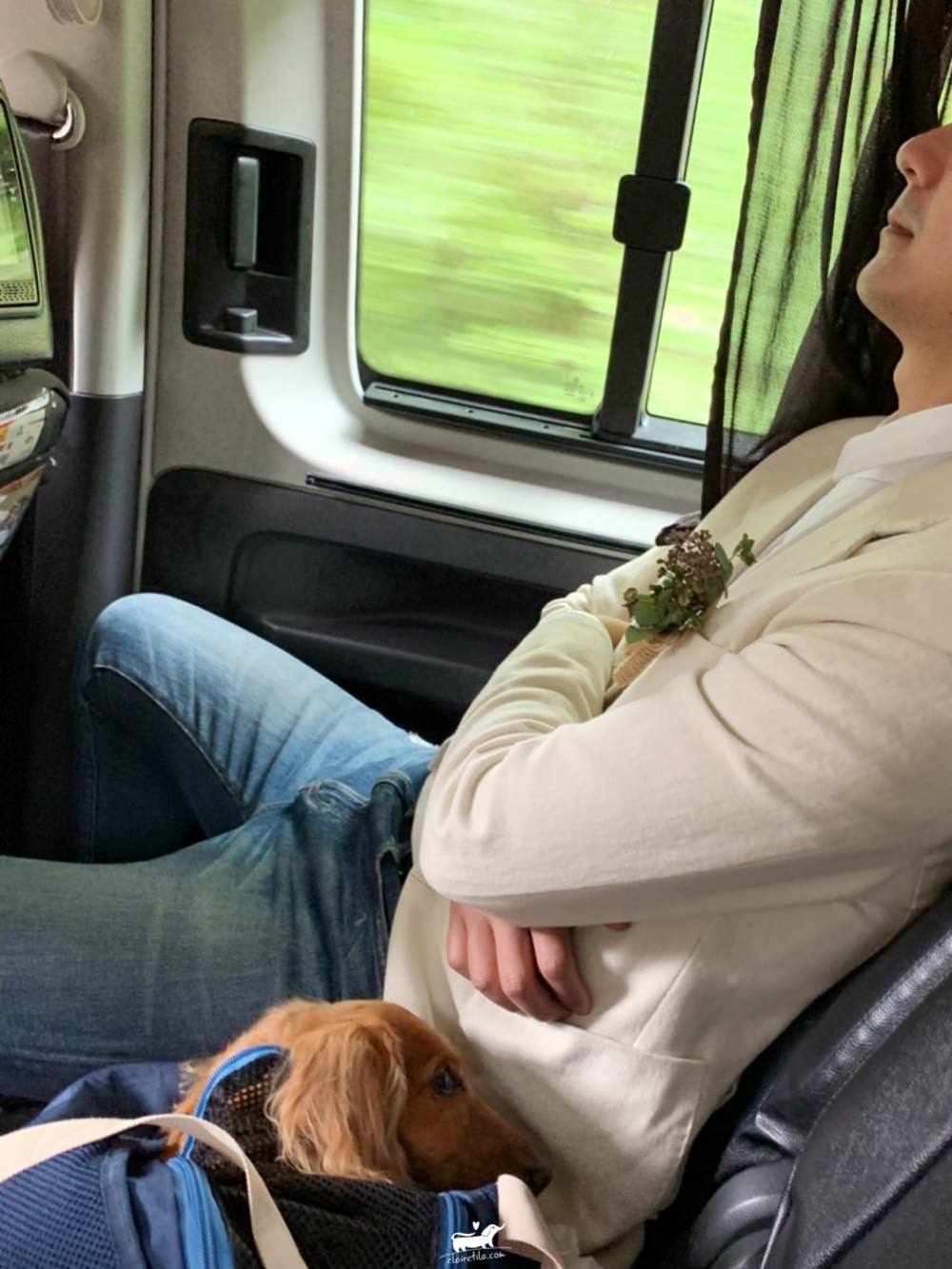 20251024-7mhlj 20251024-7mhlj