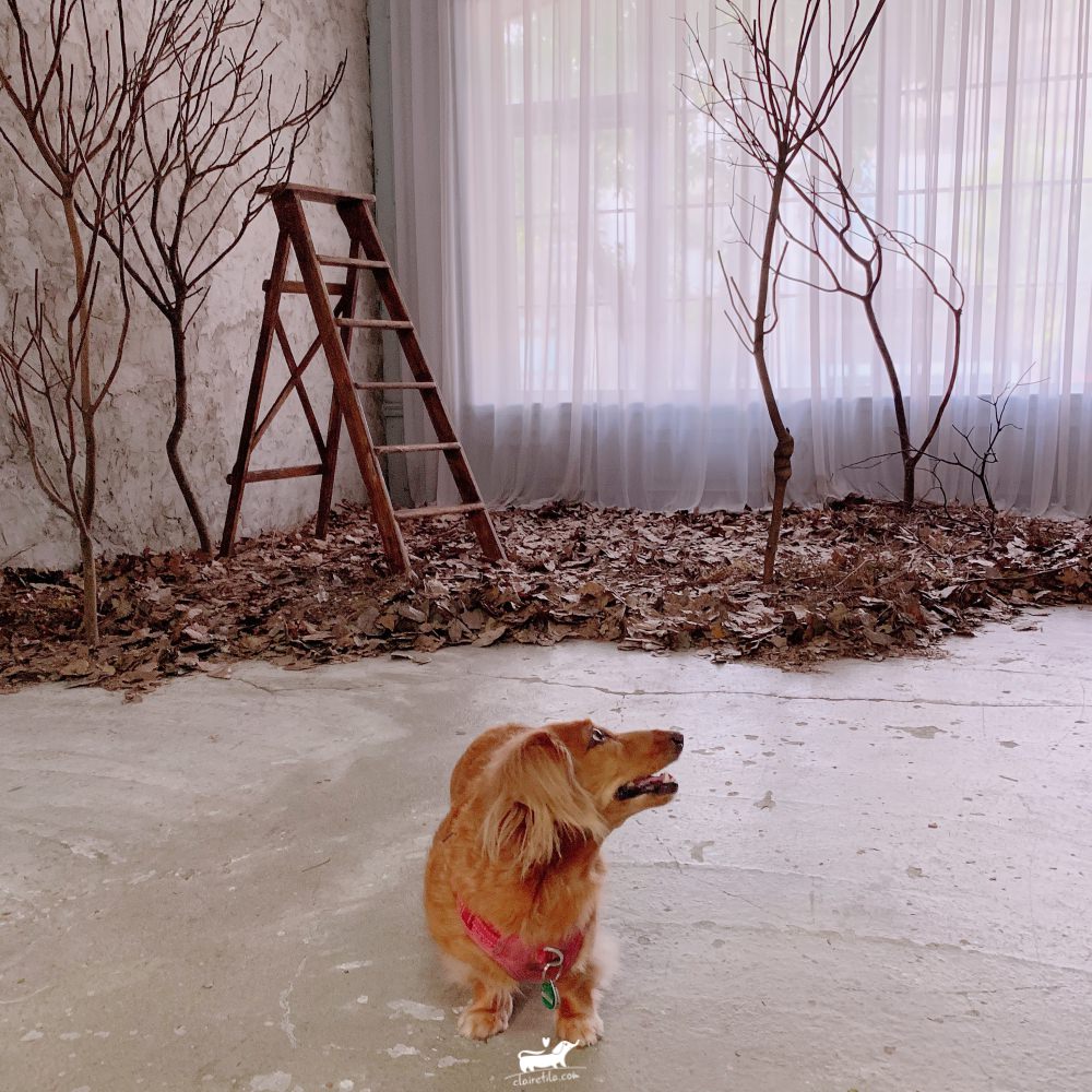 20251024-xwt4g 20251024-xwt4g