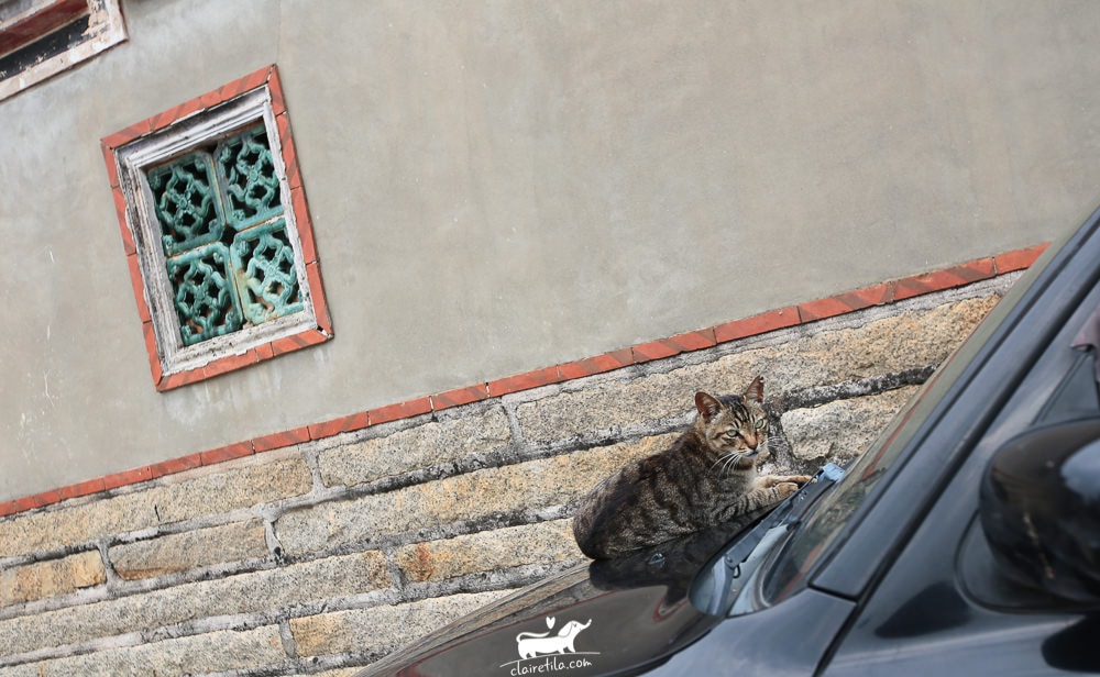 20251024-qvb9k 20251024-qvb9k