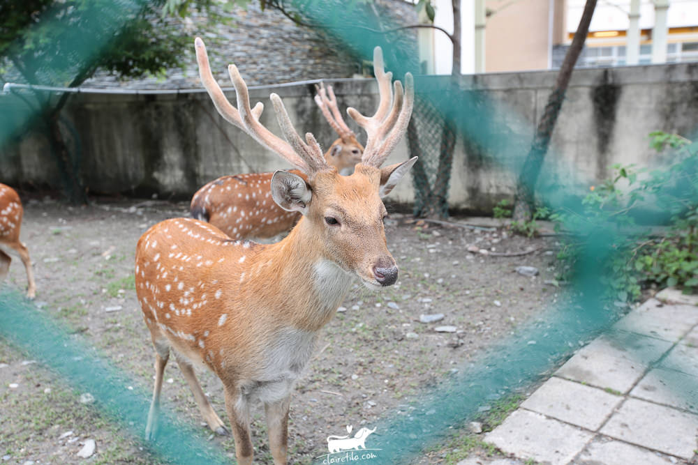 20251024-0pa21 20251024-0pa21