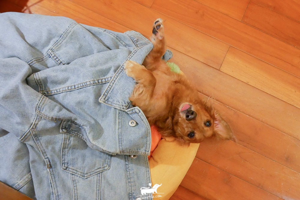 20251024-2ku7v 20251024-2ku7v