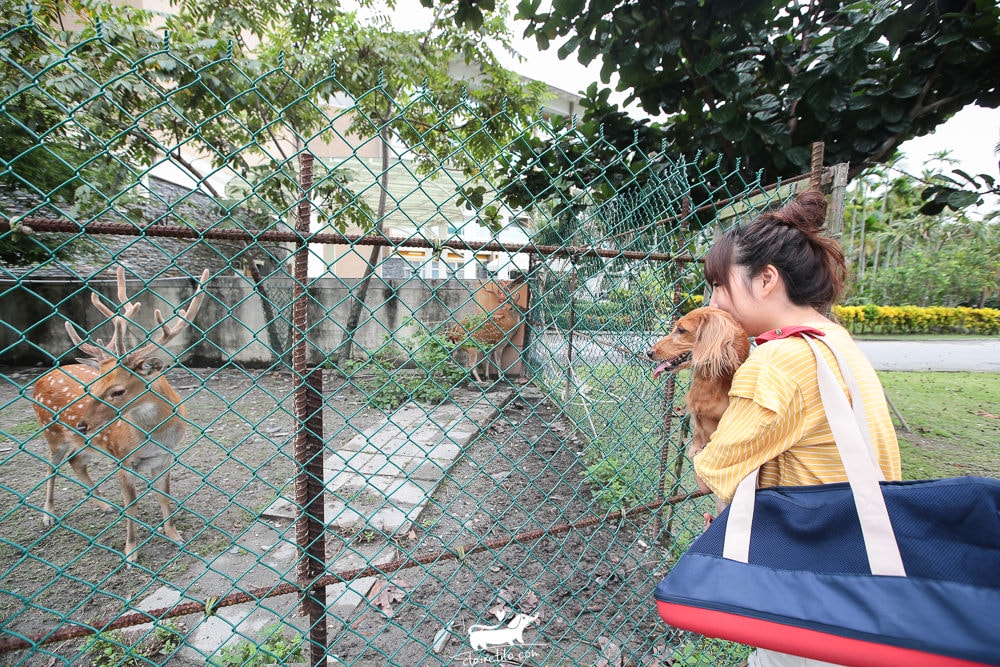 20251024-2xqrt 20251024-2xqrt