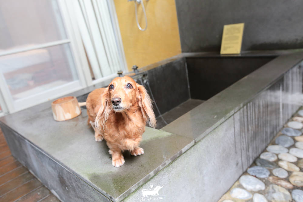 20251024-4u0fu 20251024-4u0fu