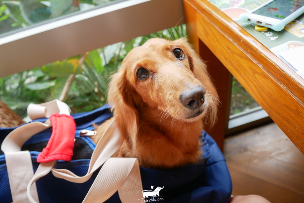 20251024-7ib7j 20251024-7ib7j