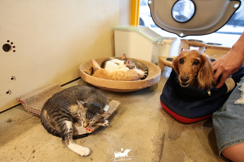 20251024-8vfgh 20251024-8vfgh