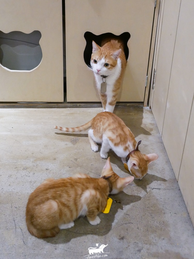 20251024-9n4rb 20251024-9n4rb