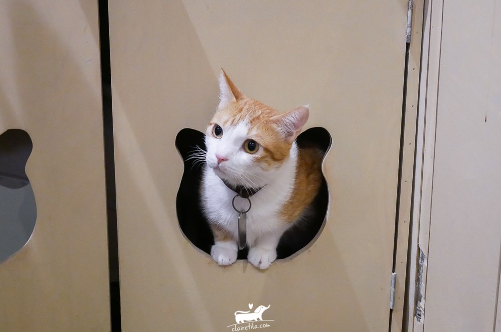 20251024-9vzxt 20251024-9vzxt