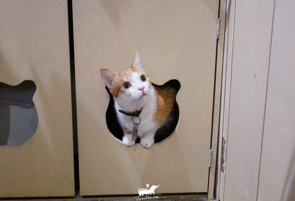 20251024-cpmhn 20251024-cpmhn