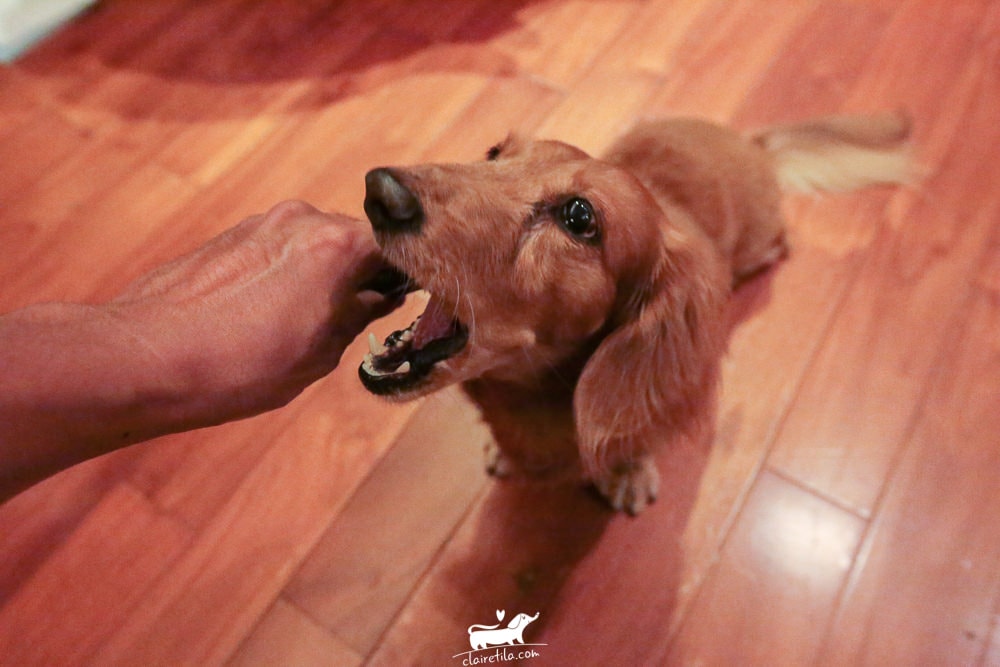 20251024-ffykn 20251024-ffykn