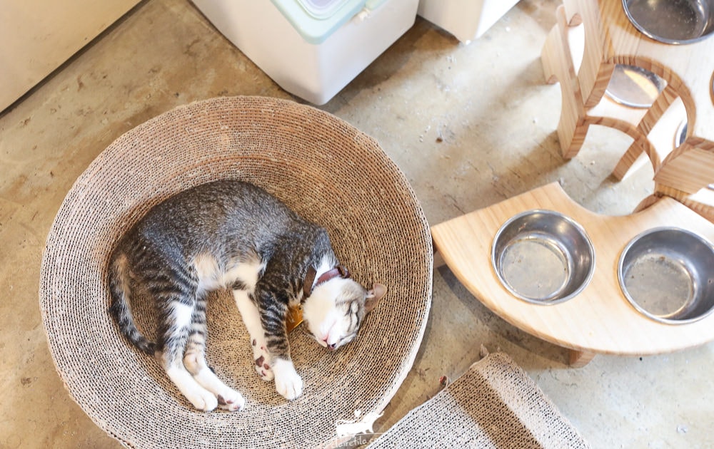 20251024-hp3kr 20251024-hp3kr