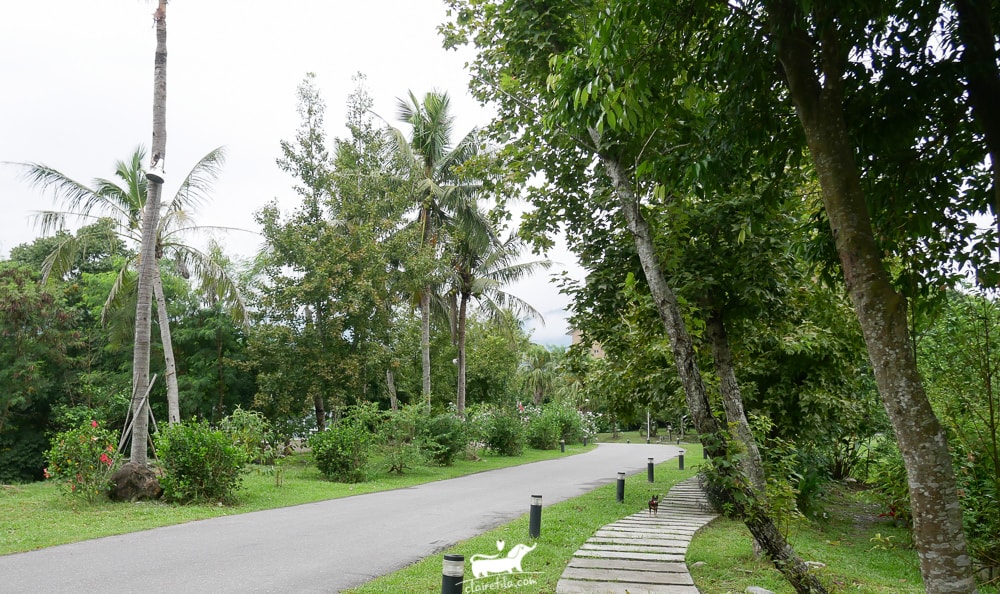 20251024-lwwd6 20251024-lwwd6