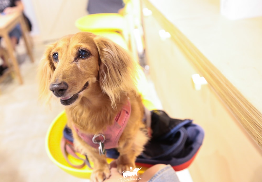 20251024-m0v8j 20251024-m0v8j