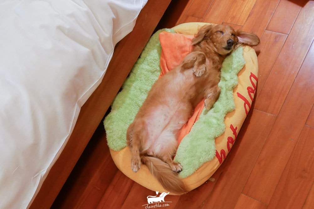 20251024-m5ov3 20251024-m5ov3