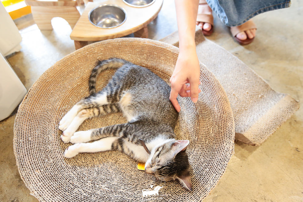 20251024-nef77 20251024-nef77