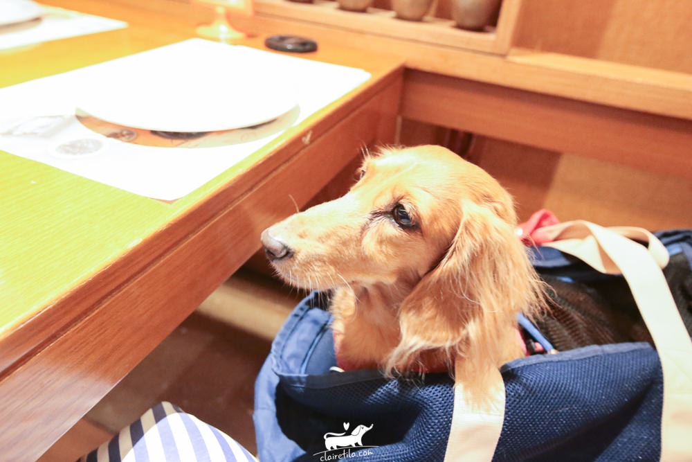 20251024-o2zz4 20251024-o2zz4