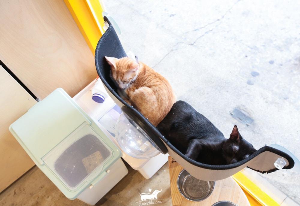 20251024-sq2sn 20251024-sq2sn