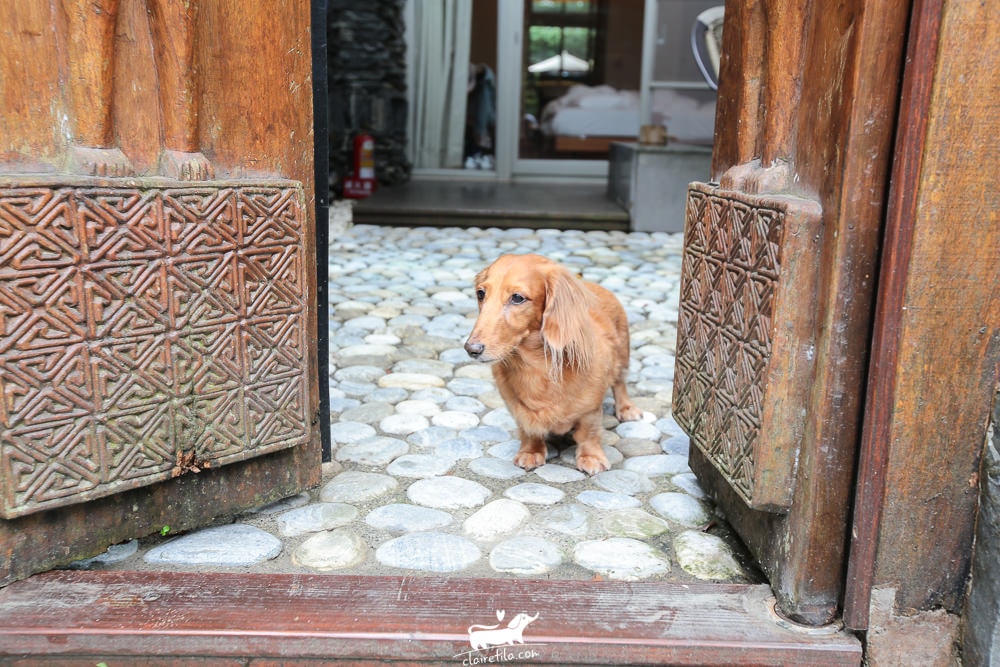 20251024-t281f 20251024-t281f