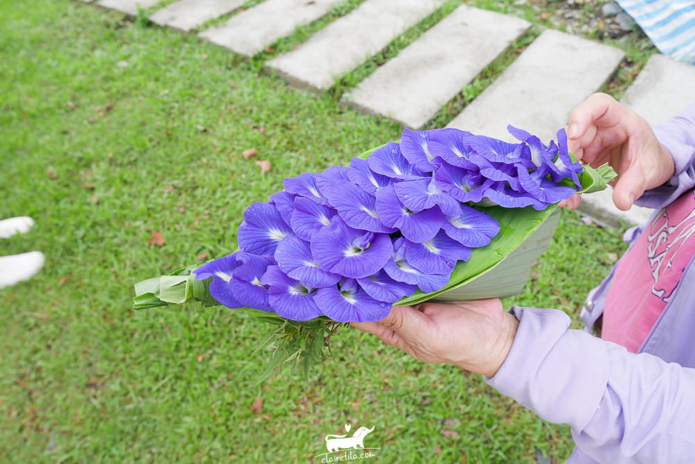 20251024-t31fh 20251024-t31fh