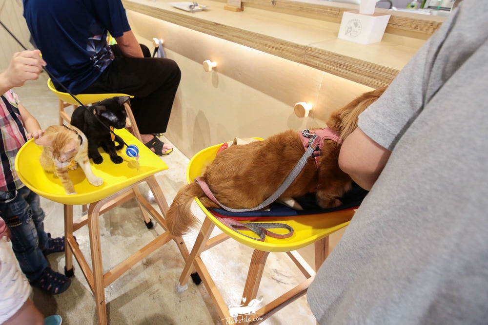 20251024-tuff6 20251024-tuff6