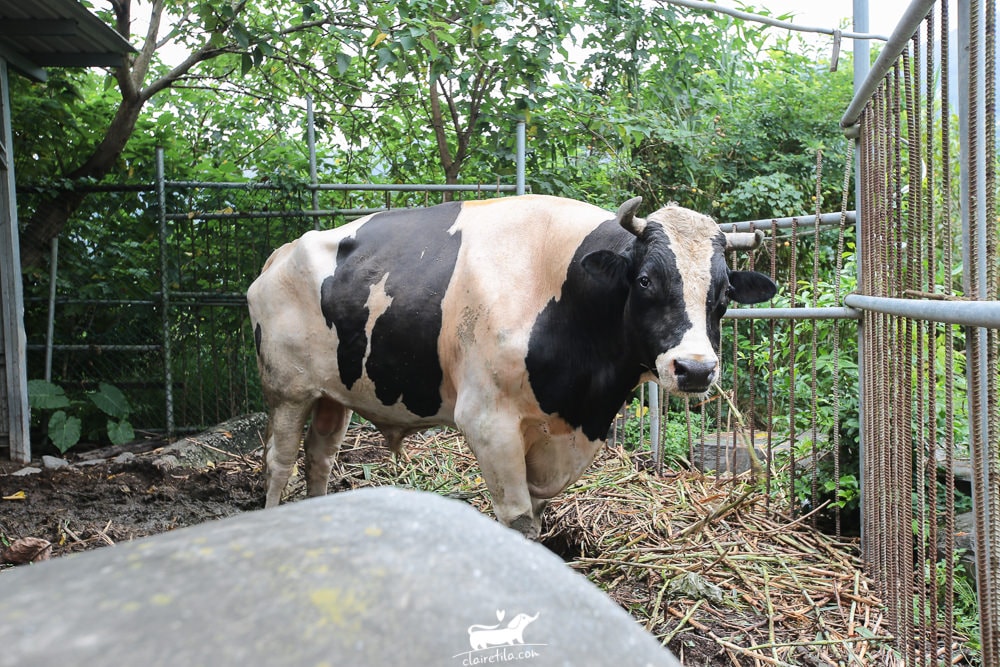 20251024-u7fcg 20251024-u7fcg