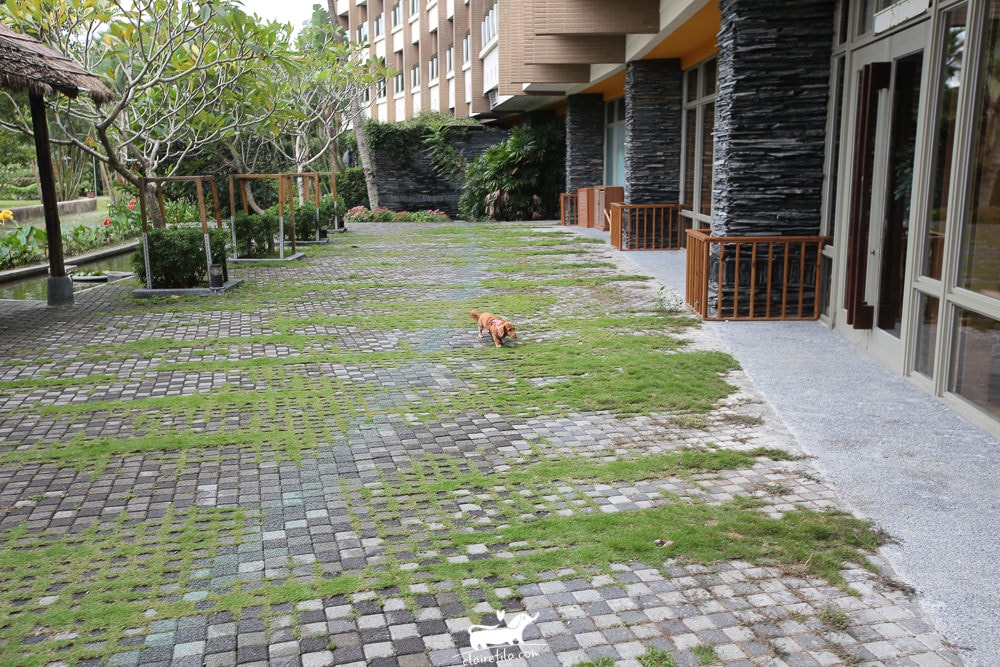 20251024-urwk3 20251024-urwk3