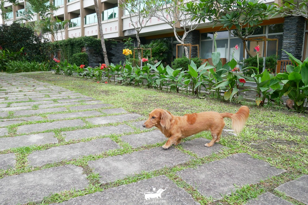 20251024-xfga6 20251024-xfga6