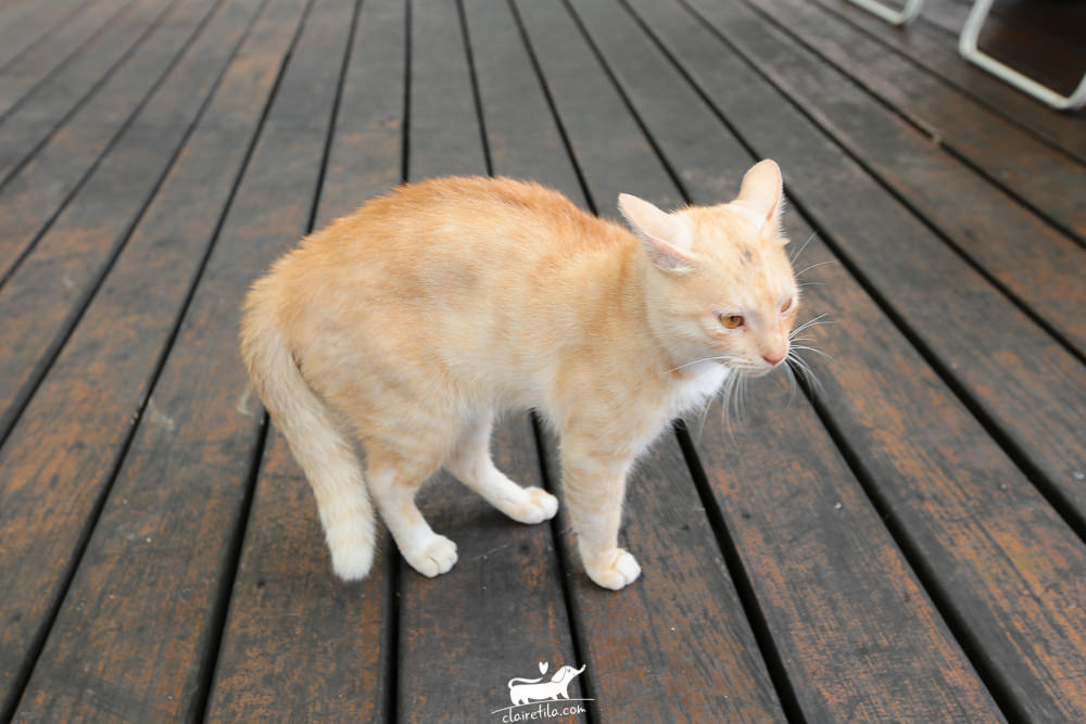 20251024-y0p47 20251024-y0p47