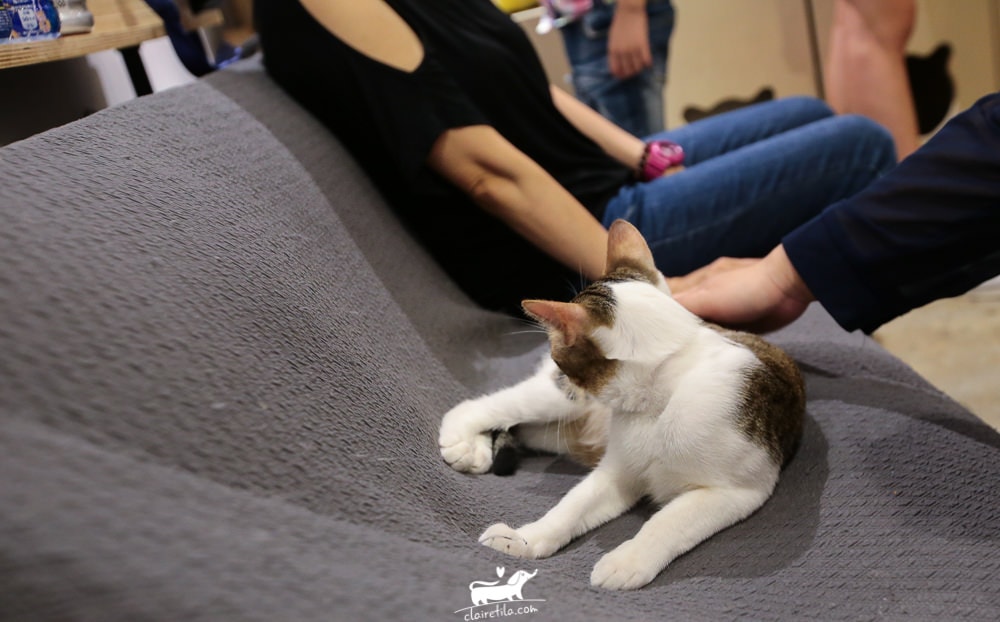 20251024-zq8ko 20251024-zq8ko