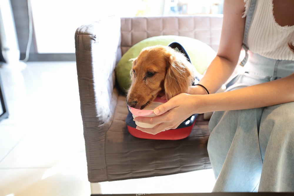 20251024-gxwu3 20251024-gxwu3