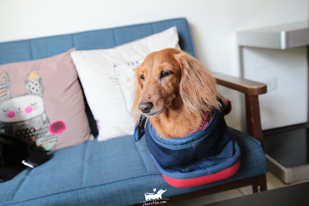 20251024-tc9zh 20251024-tc9zh