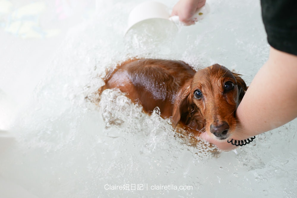 20251024-19upj 20251024-19upj