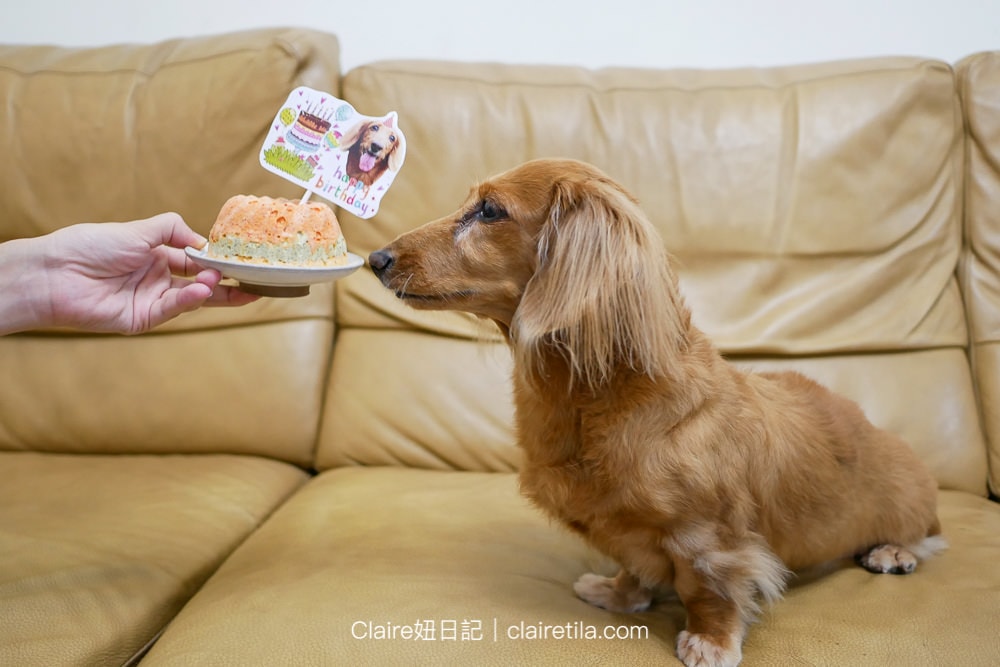 20251024-394sg 20251024-394sg