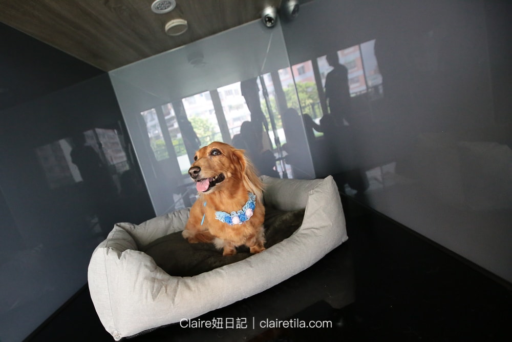 20251024-6tfep 20251024-6tfep